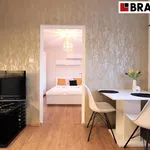 Pronajměte si 2 ložnic/e byt o rozloze 35 m² v Brno