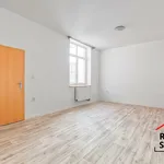 Rent 1 bedroom apartment in Ostrava