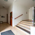 Pronajměte si 2 ložnic/e byt o rozloze 64 m² v Prague