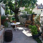 Rent 1 bedroom apartment of 51 m² in Rüdesheim am Rhein