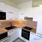 Rent 1 bedroom apartment in Brno