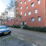 Rent 2 bedroom apartment of 73 m² in Rotterdam