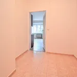 Pronajměte si 1 ložnic/e byt o rozloze 32 m² v Prague