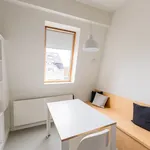 Rent 1 bedroom apartment in Leuven