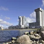 Rent 1 bedroom apartment of 142 m² in Rotterdam