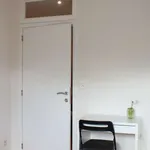 Kamer van 300 m² in brussels