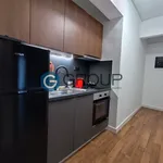 Rent 1 bedroom apartment of 45 m² in Alexandroupoli