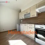 Rent 2 bedroom apartment of 33 m² in Rychvald