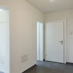 Rent 3 bedroom apartment of 69 m² in Grenchen