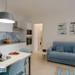 Bilocale arredato con terrazzo Centro