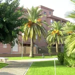 Rent 2 bedroom apartment of 90 m² in Cadiz']