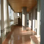 Rent 4 bedroom apartment of 120 m² in Huesca