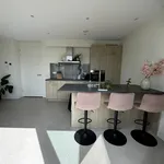 Rent 1 bedroom apartment of 60 m² in Arnhem