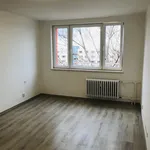 Rent 1 bedroom apartment in Karviná