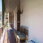 Rent 6 bedroom apartment in Rome