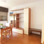 Rent 3 bedroom apartment of 90 m² in Roma