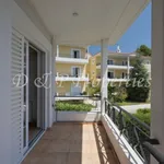 Rent 4 bedroom apartment of 327 m² in Κηφισιά