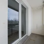 Rent 2 bedroom apartment of 53 m² in Chemnitz