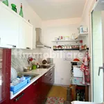 Rent 3 bedroom apartment of 60 m² in Pisa