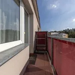 Pronajměte si 3 ložnic/e byt o rozloze 83 m² v podoli