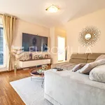 Rent 1 bedroom apartment of 67 m² in Zagreb