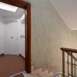 Rent 1 bedroom apartment in Rome