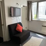 Rent 1 bedroom apartment in Auckland