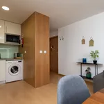 Rent 2 bedroom apartment of 119 m² in Porto