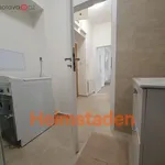 Rent 2 bedroom apartment of 34 m² in Trhový Štěpánov