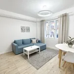 Pronajměte si 1 ložnic/e byt o rozloze 43 m² v Prague