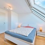 Rent 3 bedroom apartment of 68 m² in München