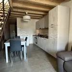 Rent 2 bedroom apartment of 50 m² in Lonigo