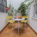 Rent 1 bedroom apartment in granada