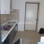 Rent 1 bedroom apartment of 40 m² in Turin