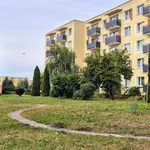 Rent 3 bedroom apartment of 65 m² in Grudziądz