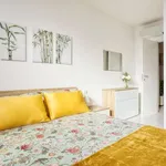 Rent 1 bedroom apartment in milan