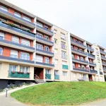 Rent 1 bedroom apartment of 33 m² in Pont-en-Royans