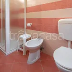 Rent 1 bedroom apartment of 55 m² in Ferrara