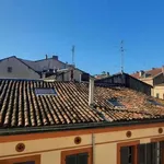 Rent 1 bedroom apartment of 20 m² in Toulouse