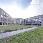 Rent 1 bedroom apartment of 80 m² in Gorinchem