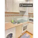 Rent 1 bedroom apartment in Madrid