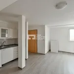 Rent 1 bedroom apartment in Capital City of Prague