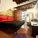 Rent 1 bedroom apartment of 35 m² in Florence