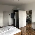 Pronajměte si 1 ložnic/e byt o rozloze 55 m² v Prague