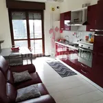 Rent 2 bedroom apartment of 50 m² in Caselle Torinese