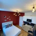 Rent 1 bedroom apartment of 24 m² in Prague