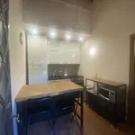 Rent 1 bedroom apartment of 30 m² in Florence