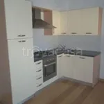 Rent 2 bedroom apartment of 60 m² in Lucca