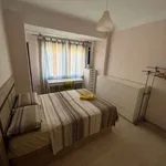 Rent a room in alicante