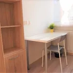 Rent 1 bedroom apartment of 8 m² in  Katowice